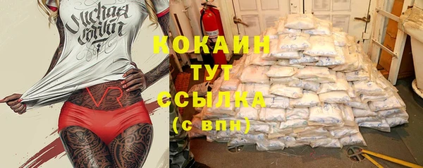 соль ск Богородицк