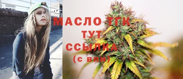 соль ск Богородицк